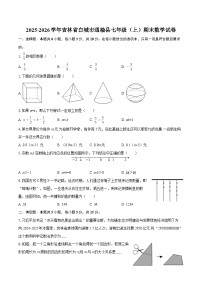 2025-2026学年吉林省白城市通榆县七年级（上）期末数学试卷-自定义类型