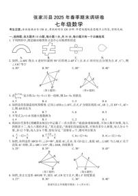 2024-2025学年甘肃省天水市张家川县七年级下学期期末考试数学试卷(有答案)