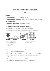 2025-2026学年安徽省宿州市第十一中学教育集团上学期第三次月考九年级数学试卷(有答案)