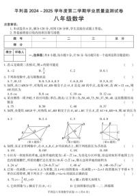 2024-2025学年陕西省安康市平利县八年级下学期期末考试数学试卷（有答案）