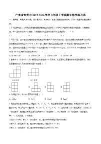 广东省东莞市2025-2026学年七年级上学期期末数学练习卷-自定义类型