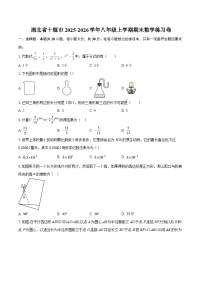 湖北省十堰市2025-2026学年八年级上学期期末数学练习卷-自定义类型