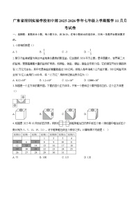 广东省深圳实验学校初中部2025-2026学年七年级上学期数学11月月考试卷-自定义类型