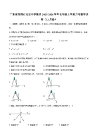 广东省深圳市宝安中学集团2025-2026学年七年级上学期月考数学试卷（12月份）-自定义类型