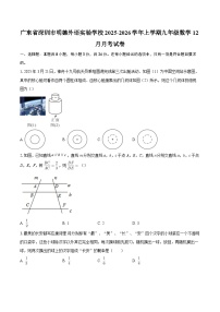 广东省深圳市明德外语实验学校2025-2026学年上学期九年级数学12月月考试卷-自定义类型
