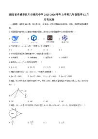 湖北省孝感市汉川市城关中学2025-2026学年上学期九年级数学12月月考试卷-自定义类型