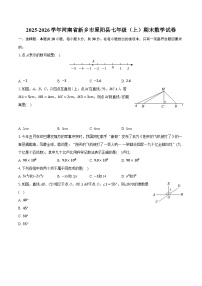 2025-2026学年河南省新乡市原阳县七年级（上）期末数学试卷（含答案+解析）