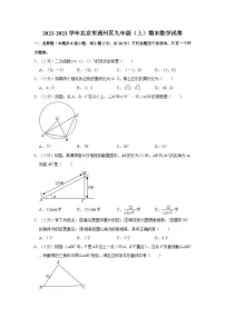 2022-2023学年北京市通州区九年级（上）期末数学试卷（含解析）