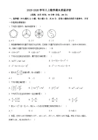 2025-2026学年人教版八年级数学上册期末质量检测试卷（解析版）