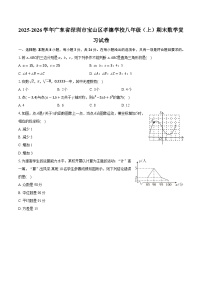 广东省深圳市宝山区2025-2026学年八年级（上）期末数学复习试卷（含解析）