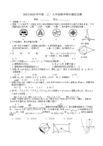 四川省自贡市富顺县2025-2026学年 上学期 九年级数学期末模拟试题（无答案）
