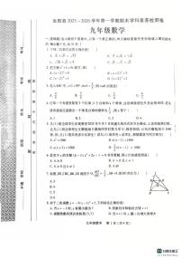 洛阳市汝阳县2025-2026学年九年级上学期期末数学试题及答案