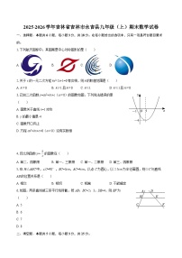 2025-2026学年吉林省吉林市永吉县九年级（上）期末数学试卷-自定义类型