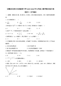 安徽省合肥市合肥新桥中学2025-2026年七年级上数学期末练习卷（提升）（沪科版）-自定义类型