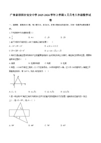 广东省深圳市宝安中学2025-2026学年上学期1月月考八年级数学试卷-自定义类型