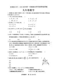 汝阳县2025-2026学年九年级上册期末学科素养检测卷-数学（含答案）