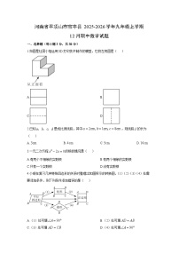 2025-2026学年河南省平顶山市宝丰县九年级上学期12月期中数学试卷（学生版）