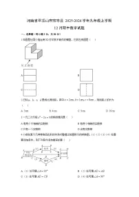 2025-2026学年河南省平顶山市宝丰县九年级上学期12月期中数学试卷（学生版）