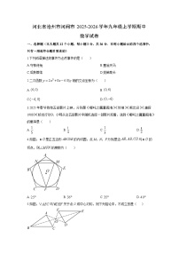 2025-2026学年河北省沧州市河间市九年级上学期期中数学试卷（学生版）