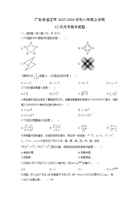 2025-2026学年广东省湛江市八年级上学期12月月考数学试卷（学生版）