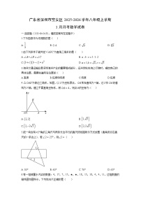 2025-2026学年广东省深圳市宝安区八年级上学期1月月考数学试卷（学生版）