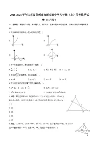 2025-2026学年江苏省苏州市高新实验中学八年级（上）月考数学试卷（1月份）（含答案+解析）