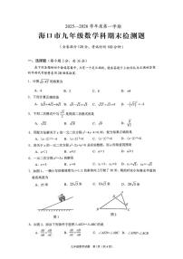海南省海口市2025-2026学年上学期九年级期末考试数学科试题
