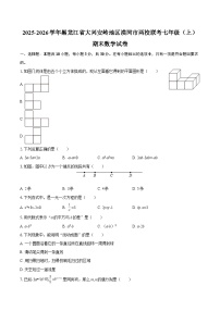 2025-2026学年黑龙江省大兴安岭地区漠河市两校联考七年级（上）期末数学试卷-自定义类型