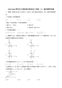 2025-2026学年辽宁省沈阳市皇姑区八年级（上）期末数学试卷-自定义类型