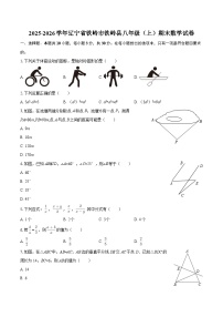 2025-2026学年辽宁省铁岭市铁岭县八年级（上）期末数学试卷-自定义类型