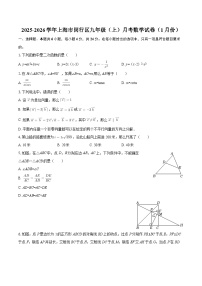 2025-2026学年上海市闵行区九年级（上）月考数学试卷（1月份）-自定义类型