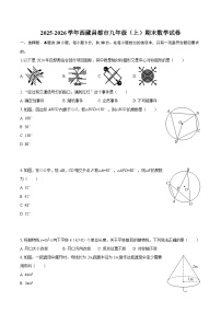 2025-2026学年西藏昌都市九年级（上）期末数学试卷-自定义类型