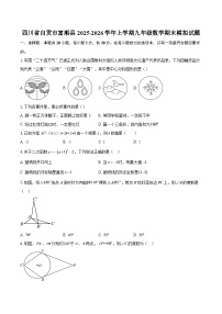 四川省自贡市富顺县2025-2026学年上学期九年级数学期末模拟试题-自定义类型