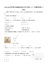 2025-2026学年四川省成都市棕北中学八年级（上）月考数学试卷（1月份）-自定义类型