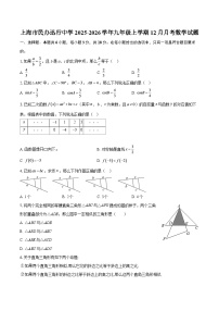 上海市民办迅行中学2025-2026学年九年级上学期12月月考数学试题-自定义类型