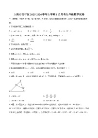上海市闵行区2025-2026学年上学期1月月考九年级数学试卷-自定义类型