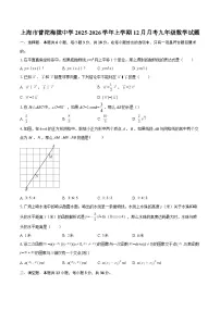上海市普陀梅陇中学2025-2026学年上学期12月月考九年级数学试题-自定义类型