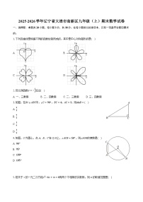 2025-2026学年辽宁省大连市高新区九年级（上）期末数学试卷（含答案+解析）