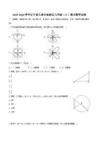 2025-2026学年辽宁省大连市高新区九年级（上）期末数学试卷（含答案+解析）