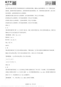 安徽省芜湖市无为市2024--2025学年上学期九年级期中考试数学试卷 (解析版)A4