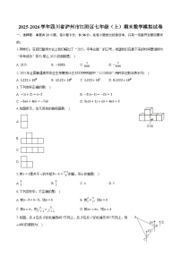 2025-2026学年四川省泸州市江阳区七年级（上）期末数学模拟试卷（含答案+解析）
