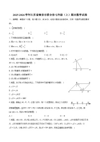 2025-2026学年江苏省南京市联合体七年级（上）期末数学试卷（含答案+解析）