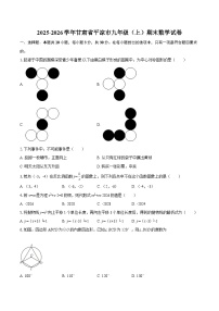2025-2026学年甘肃省平凉市九年级（上）期末数学试卷-自定义类型