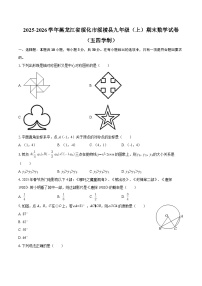 2025-2026学年黑龙江省绥化市绥棱县九年级（上）期末数学试卷（五四学制）-自定义类型