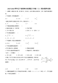 2025-2026学年辽宁省铁岭市昌图县八年级（上）期末数学试卷-自定义类型