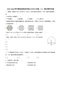 2025-2026学年青海省海西州格尔木市九年级（上）期末数学试卷-自定义类型