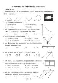 广东省深圳新华中学教育集团2025-2026学年上学期1月月考九年级数学试卷（月考）