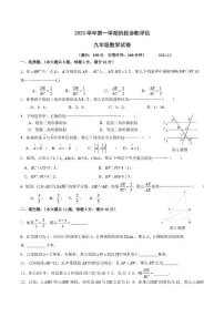 上海市金山初级中学2023-2024学年九年级上学期10月月考数学卷（月考）