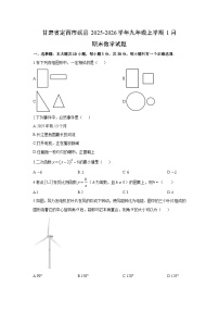 2025-2026学年甘肃省定西市岷县九年级上学期1月期末数学试卷（学生版）