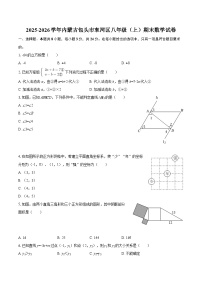 2025-2026学年内蒙古包头市东河区八年级（上）期末数学试卷-自定义类型